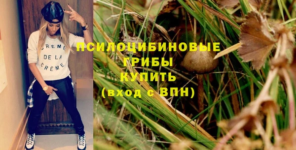 трава Алзамай