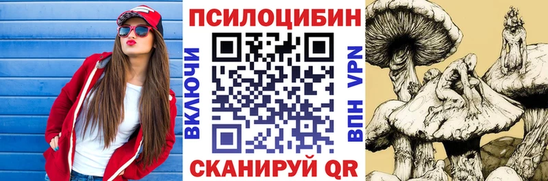где можно купить   mega зеркало  Псилоцибиновые грибы GOLDEN TEACHER  Любим 