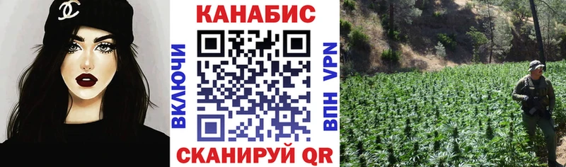 как найти   мориарти клад  Шишки марихуана планчик  Любим 